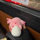 현지 여행 일본어(야간) | 포덕의 다카마쓰 &amp; 오사카 여행