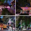 별빛랜드 이미지