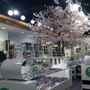 리베라안경원 이미지