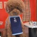 뒷고기포차 이미지