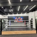 성남 복싱 체육관 이미지