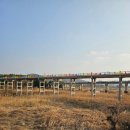 울산박물관 옥내 화장실 | 몽골에서 3400km 날아 월동 온 독수리 만나러 [울산독수리학교] 다녀온 후기