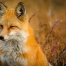 이슬목장 이미지