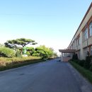 서산초등학교 이미지