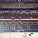 성진청과