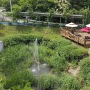 의령친환경골프장 이미지