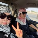 해운대 중동 동물병원(큰마음빌딩) | 🐪 두바이 사막투어 후기｜두바이 여행 2일차, 사막사파리는 꼭 가야 할까?