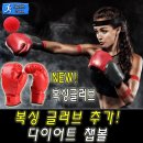 권투 이미지
