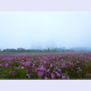 여주-1100 이미지