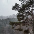 월드블루베리와 아로니아농장