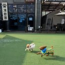 브루하하유치원 이미지