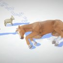 관성목장 이미지