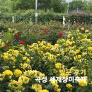 섬진강 | 2025 곡성 세계 장미축제 초대가수 주차 섬진강기차마을 방문후기