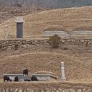 방목농장 이미지