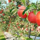 삼각산농장 이미지