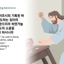 ＜25일차＞1/25(목)-마태복음 21장-22장 (365일 성경1독) 이미지