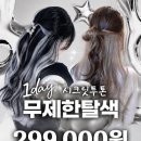앤미