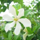 산오름 이미지