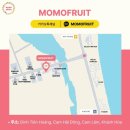 모모과일