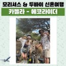 모리셔스 신혼여행 / 카젤라 파크 투어 , 에코라이더 후기