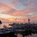 채석포항 이미지