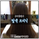 오늘염색풍암점