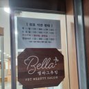 벨라 그루밍 이미지