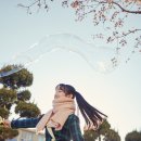 프로미스 이미지