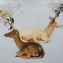 antic and  이미지