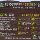 함안연꽃테마파크 이미지