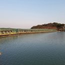 태양낚시터 티스토리