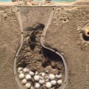 바다로 가는 사람들 이미지