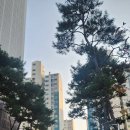 매탄권선역리버파크공인중개사사무소 | 매탄권선역리버파크하나부동산입니다