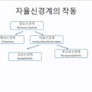 (주)다미개발