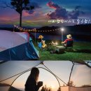 한일메디칼 | 전기장판 추천 고민하다가 선택한 한일메디컬 탄소열선 전기요 후기