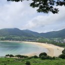 남해 36.5 이미지