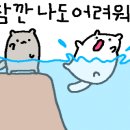 느낌푸드 이미지