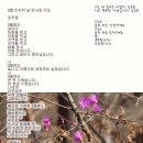 3월 마지막 날 4월 첫날 인사말 이모티콘 이미지 이미지