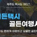 골든투어여행사 이미지