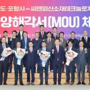 씨앤피글로벌