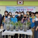 원예테라피 이미지