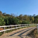 궁평항로 이미지