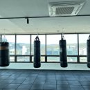 ATP Boxing 이미지