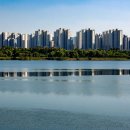 수서공인중개사사무소 이미지