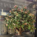 은혜수퍼 이미지