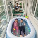 대전둔산초등학교 이미지