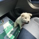 양원주동물병원 이미지