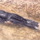 제주지방해양경찰청 이미지