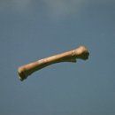 빅 스크린 이미지