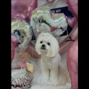 멍글하우스 이미지